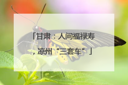 甘肃：人间福禄寿，凉州“三套车”